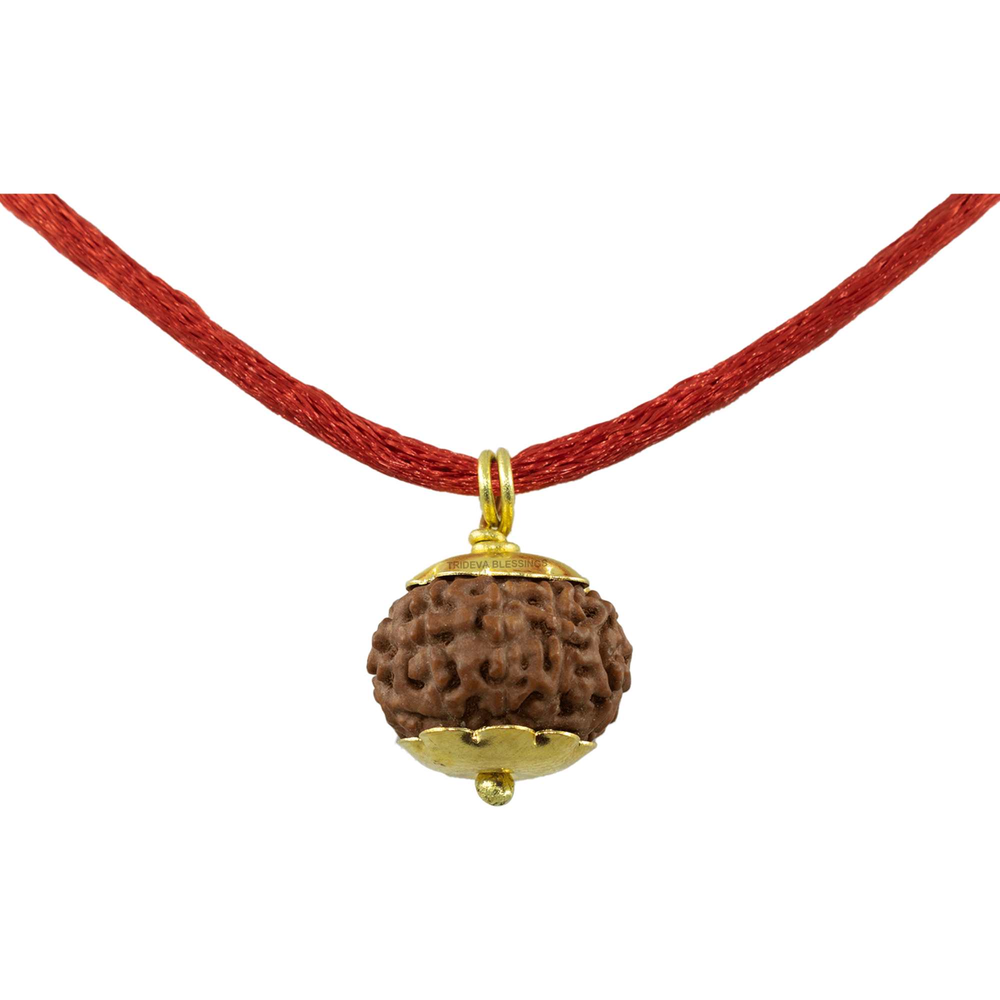 Trideva Blessings 9 Mukhi Rudraksha Pendant / Nine Face Rudraksha Pendant - Golden Metal Cap (Lab Certified)