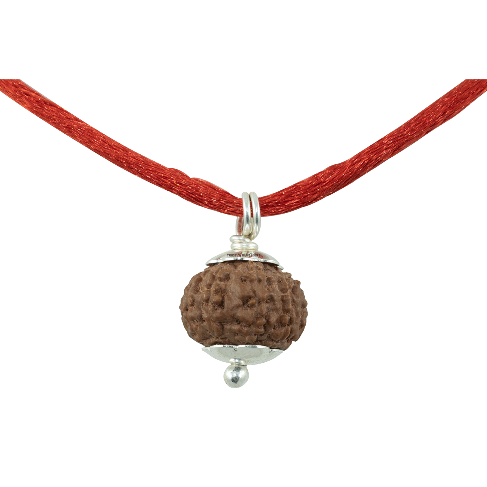 Trideva Blessings 10 Mukhi Rudraksha Pendant / Ten Face Rudraksha Pendant - Pure Silver Cap (Lab Certified)