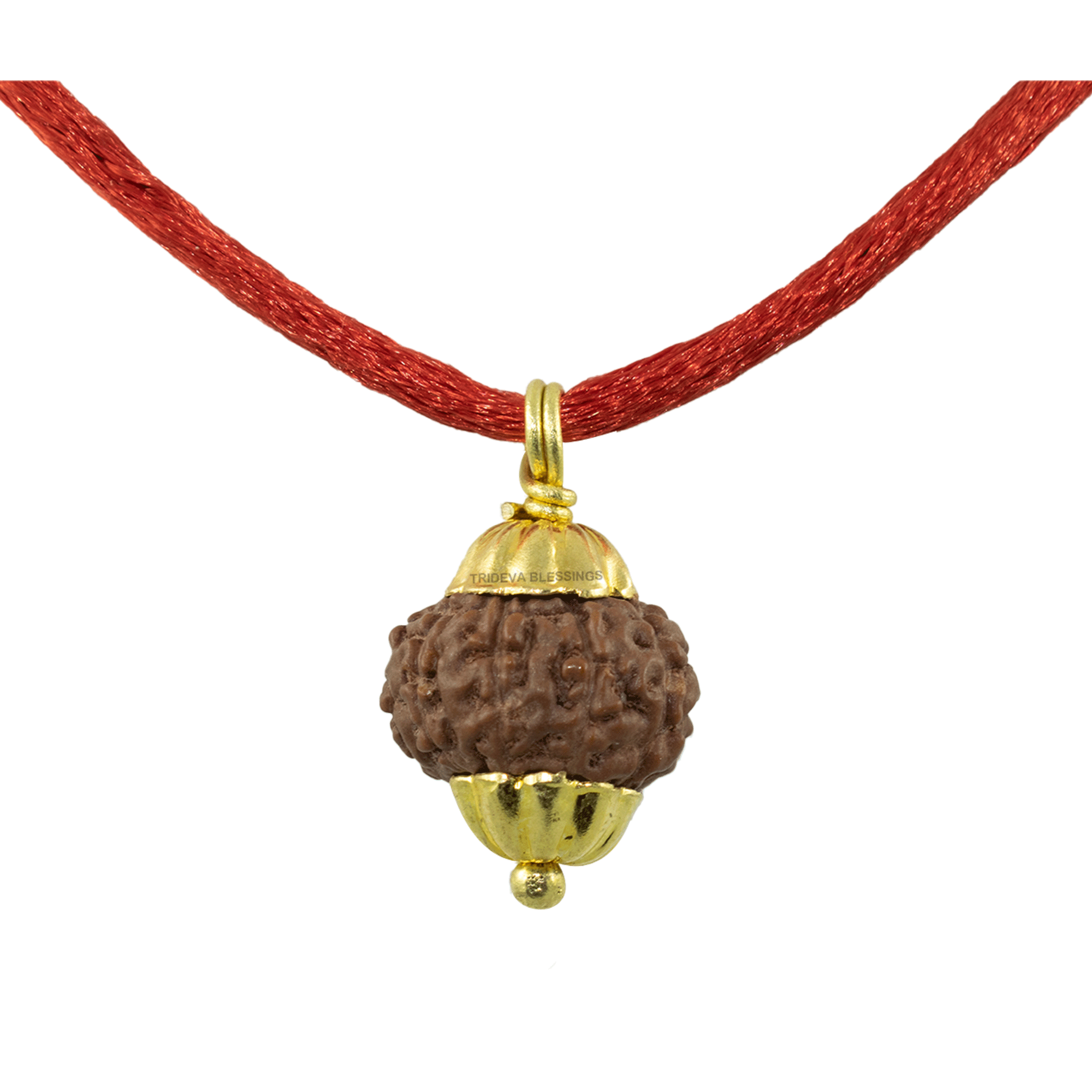 Trideva Blessings 10 Mukhi Rudraksha Pendant / Ten Face Rudraksha Pendant - Golden Metal Cap (Lab Certified)