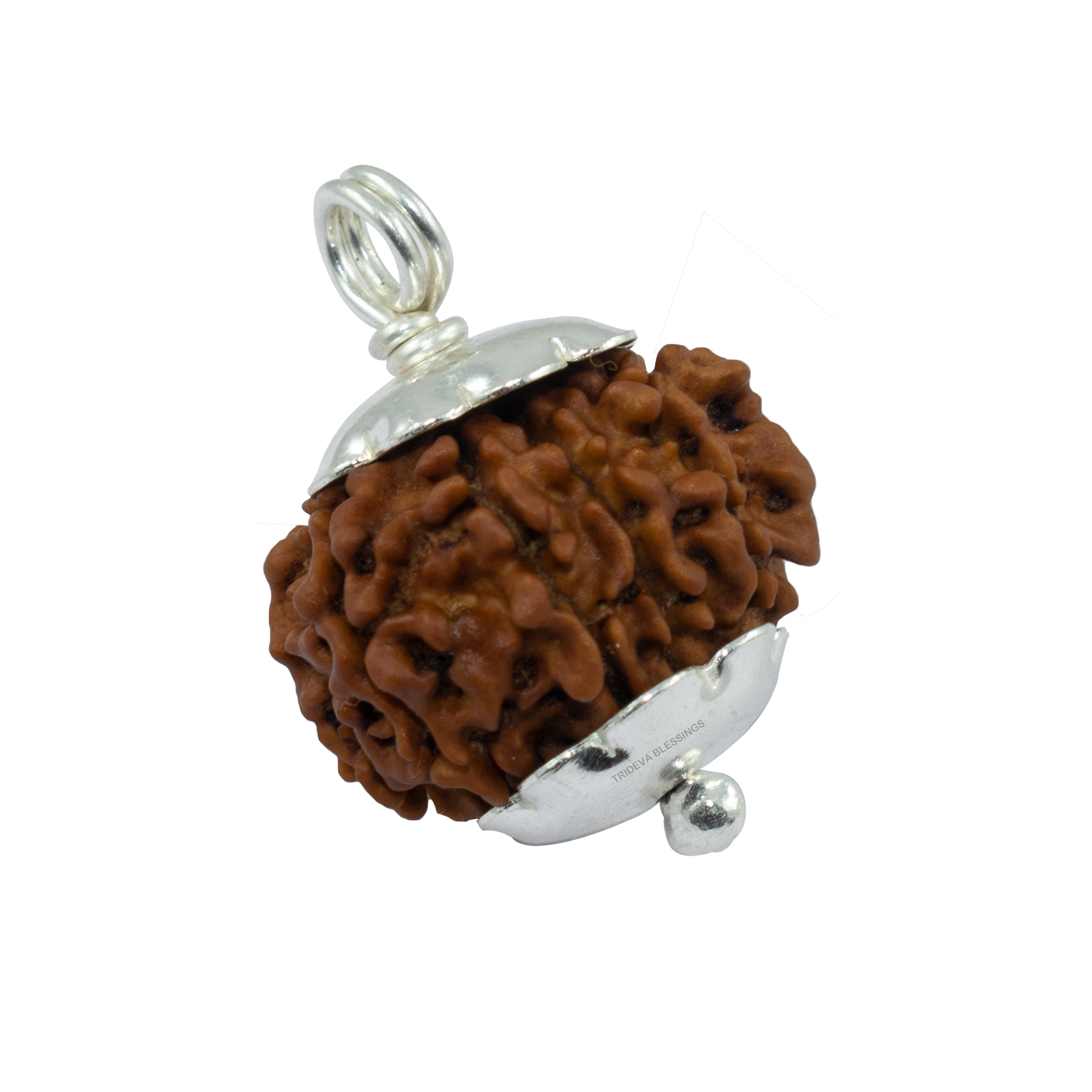 Trideva Blessings 10 Mukhi Rudraksha Pendant / Ten Face Rudraksha Pendant (Made in Pure Silver) - Nepal Bead