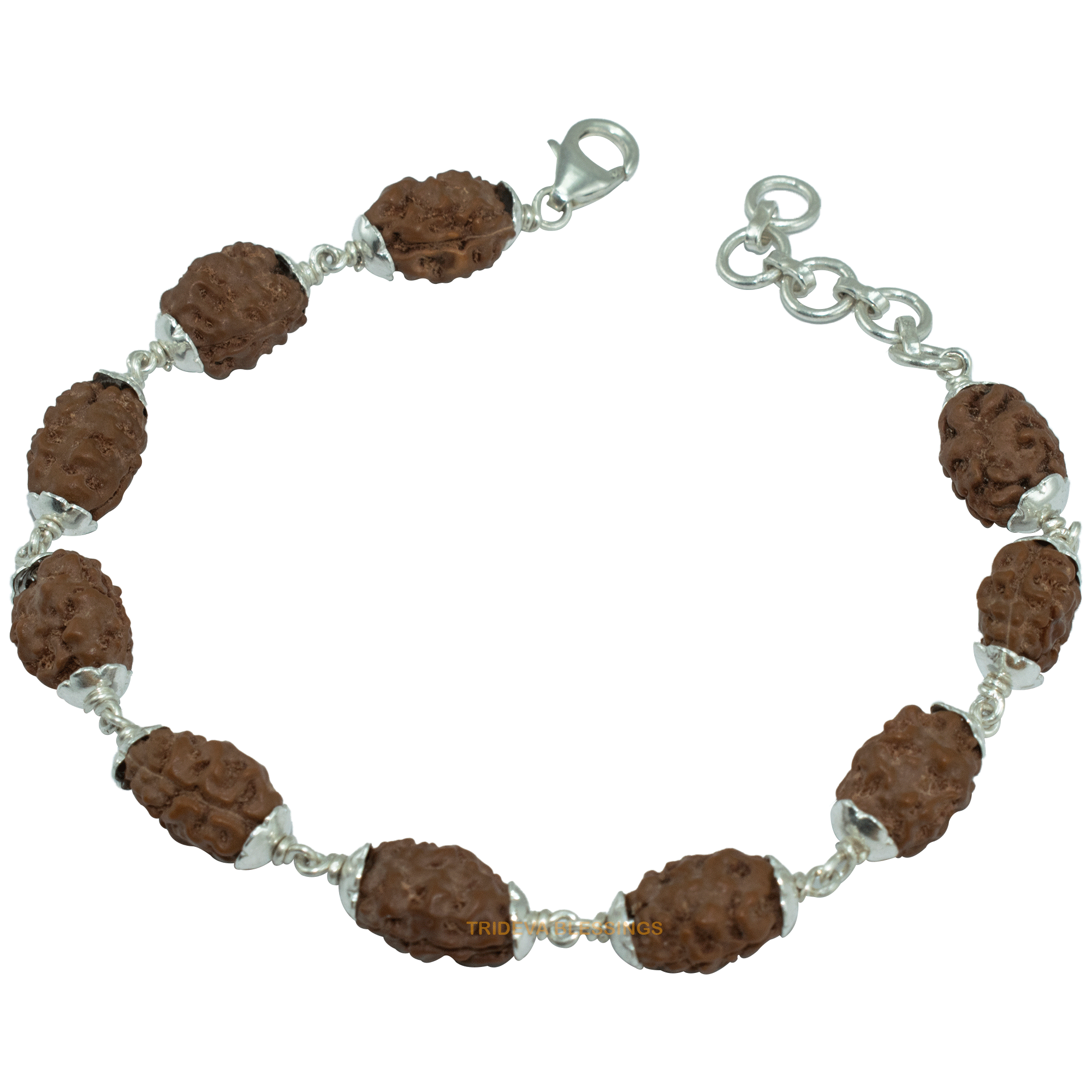Trideva Blessings Moon Bracelet / 2 Mukhi Rudraksha Bracelet / Two Face Rudraksha Bracelet - Made in Pure Silver