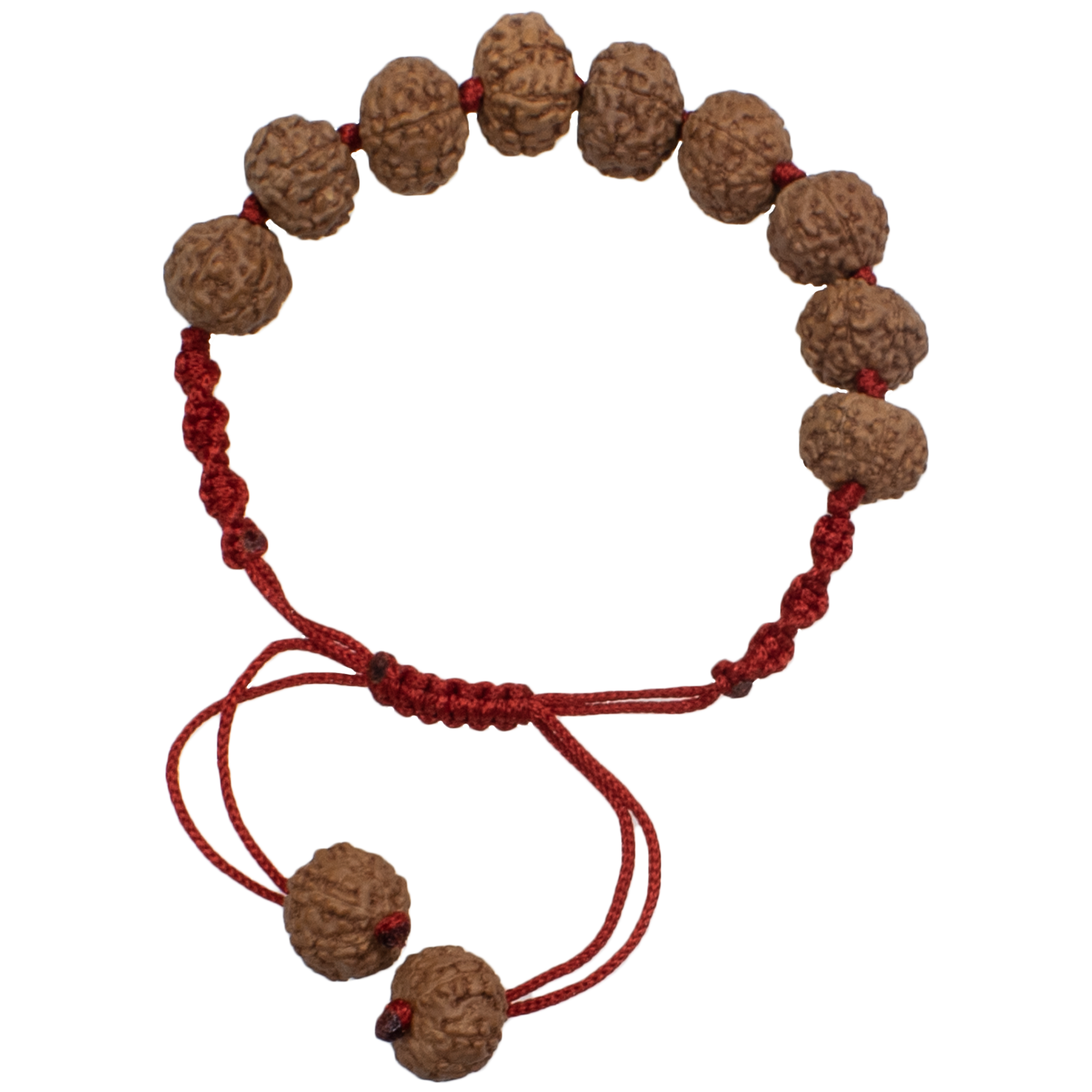 Trideva Blessings 7 Mukhi Rudraksha / Seven Face Rudraksha Bracelet - 11 Beads (12 mm)