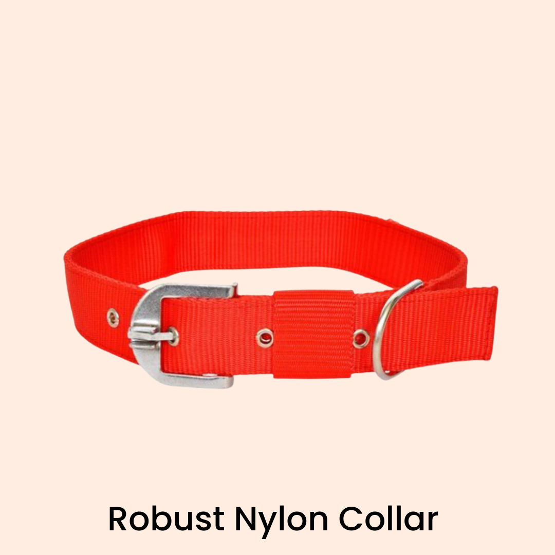 Robust Nylon Collar (0.50")