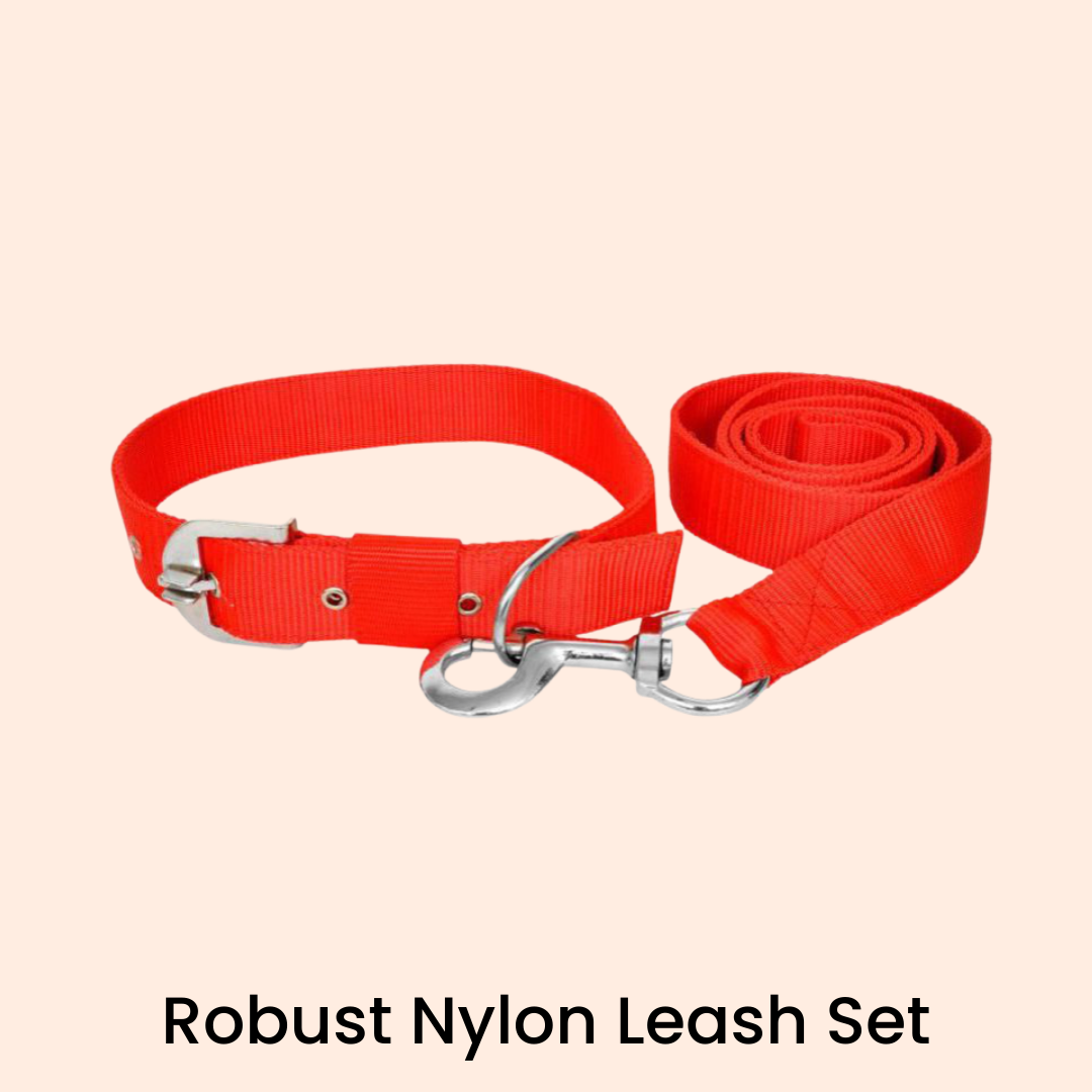 Robust Nylon Leash Set (0.50")