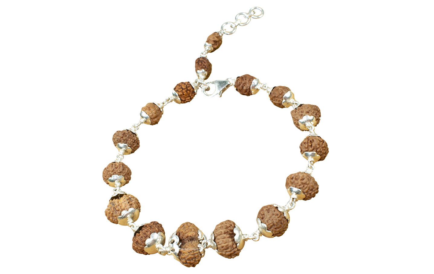 Trideva Blessings Rudraksha Sarvasiddhi Bracelet (1-14 Face Gaurishankar & Ganesh Rudraksha) - Indonesian Beads (Pure Silver)
