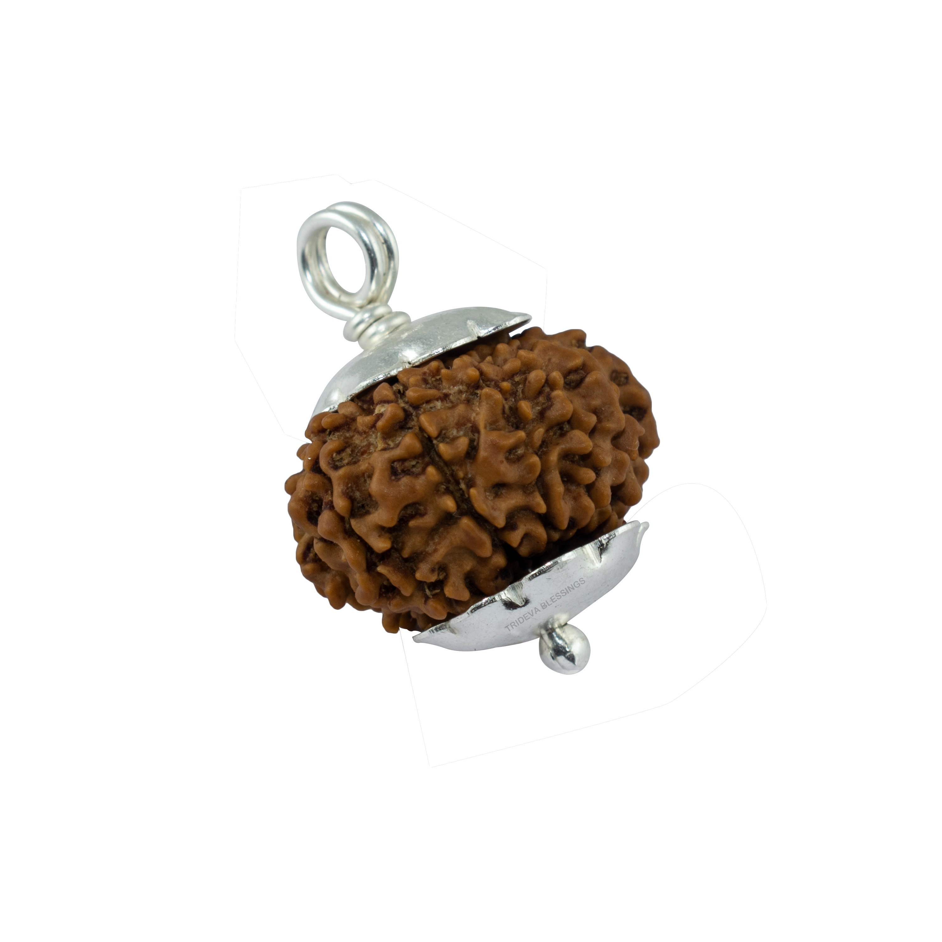 Trideva Blessings 11 Mukhi Rudraksha Pendant / Eleven Face Rudraksha Pendant (Made in Pure Silver) - Nepal Bead