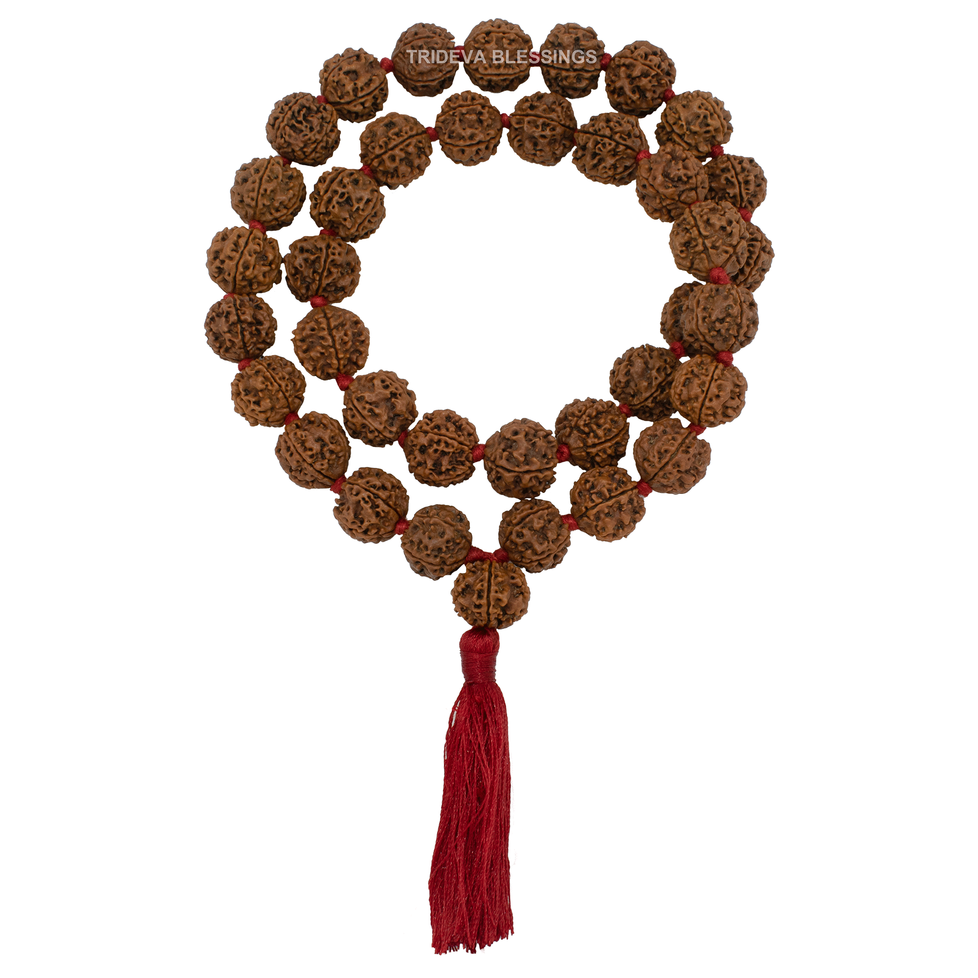 Trideva Blessings Brahma Kantha / 4 Mukhi Rudraksha Kantha / four Face Rudraksha Kantha (36+1 Beads)