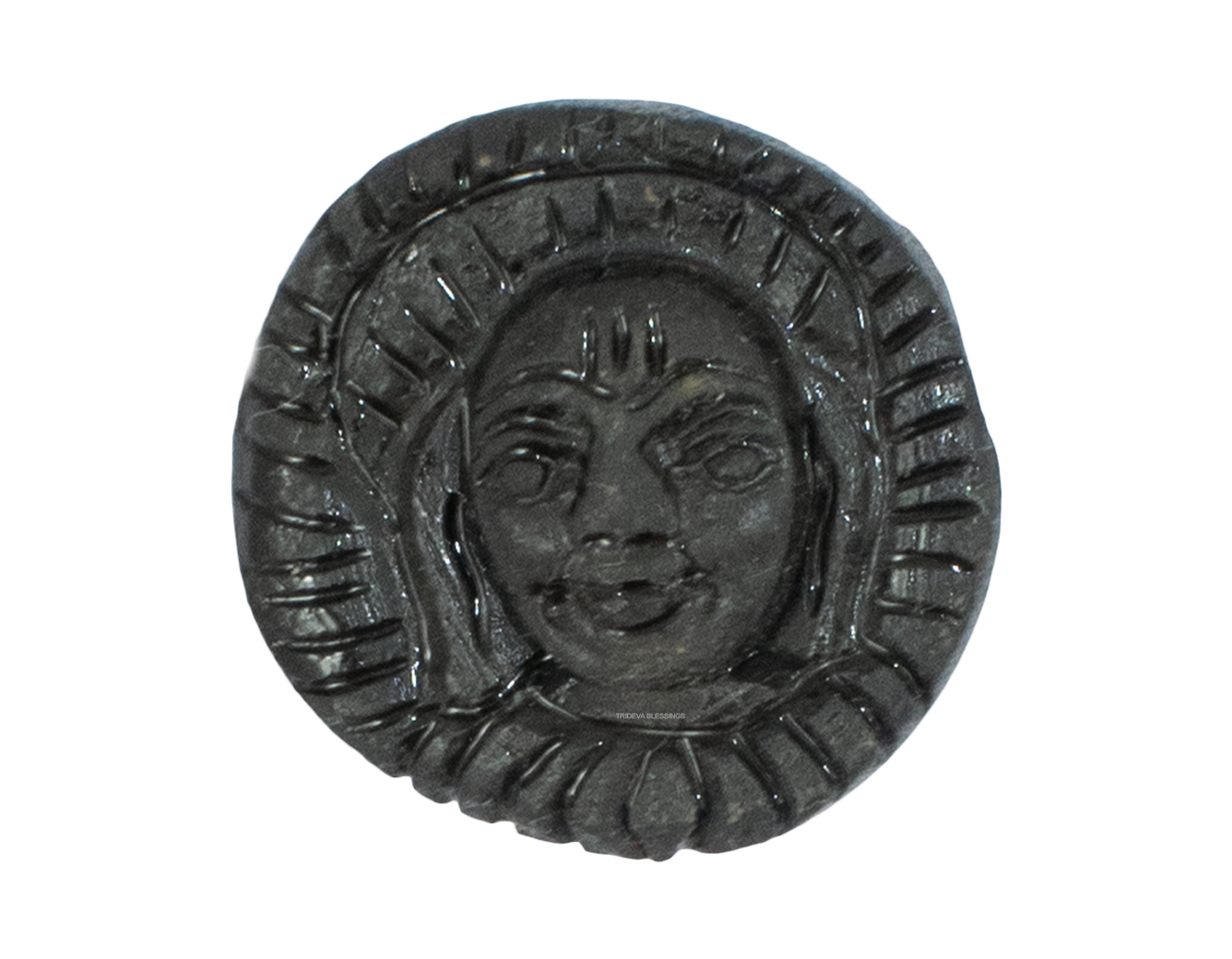 Trideva Blessings Lord Vaaman Shaligram Idol- Carved on Golden Sudarshan Shaligram