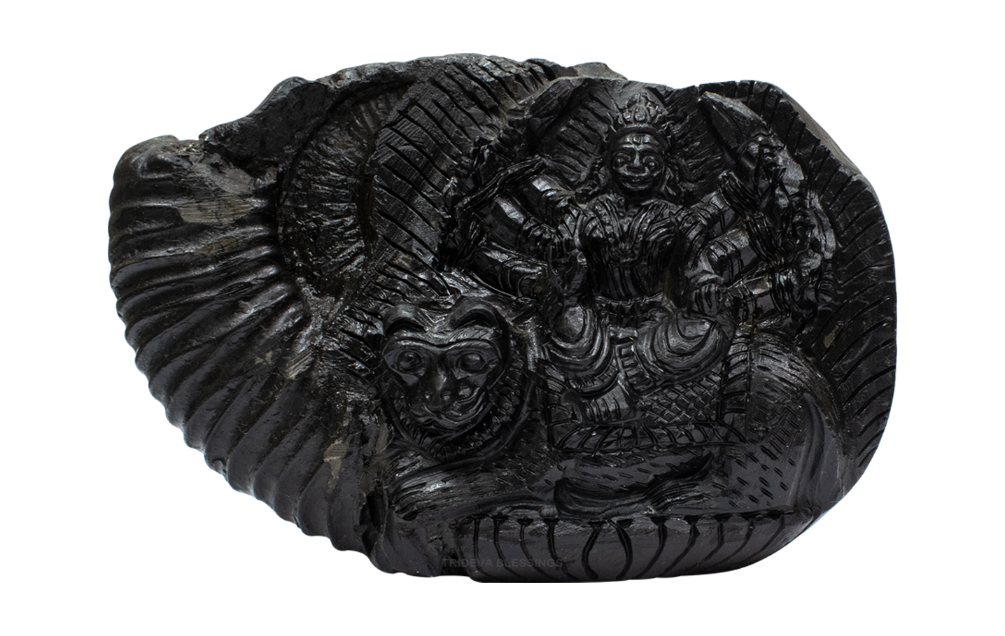 Trideva Blessings Goddess Durga Idol - Carved on Golden Sudarshan Shaligram - I