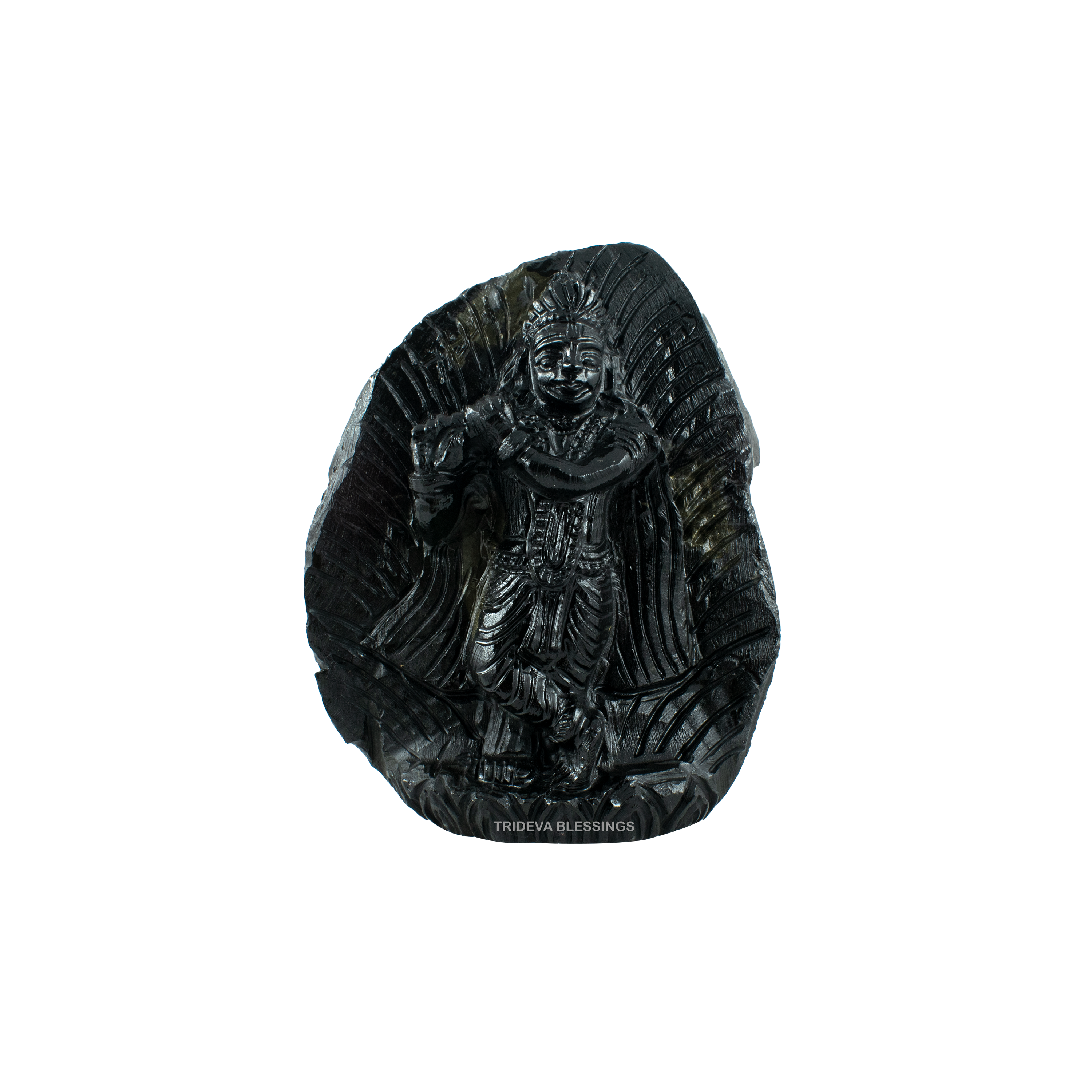 Trideva Blessings Lord Krishna Idol - Carved on Golden Sudarshan Shaligram - II