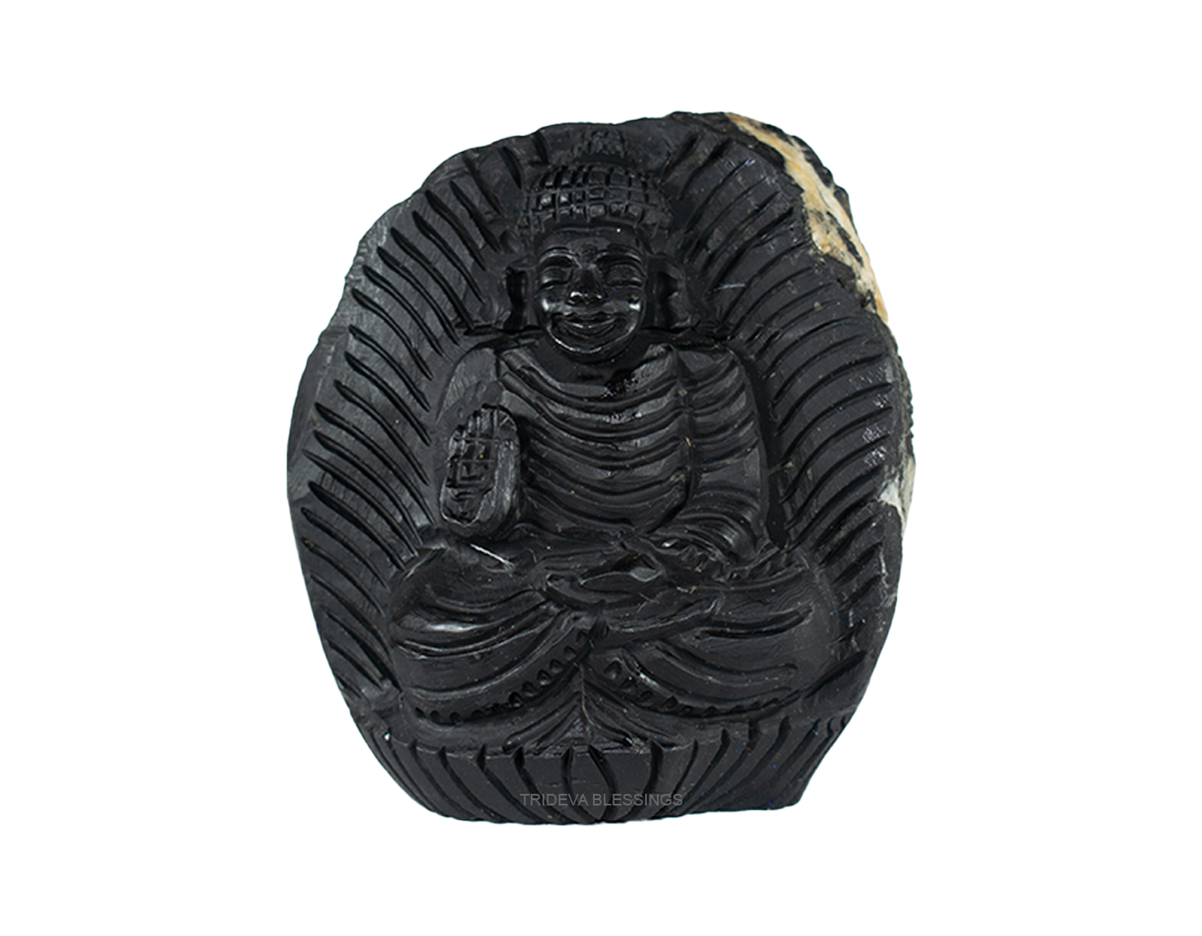 Trideva Blessings Adbhut Gautam Buddha Shaligram Idol- I- Carved on Sudarshan Shaligram