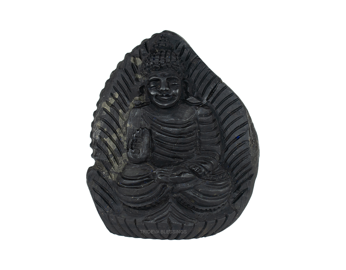 Trideva Blessings Auspicious Gautam Buddha Shaligram Idol- II - Carved on Sudarshan Shaligram