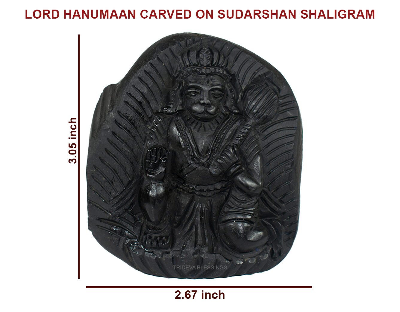 Trideva Blessings Sacred Hanuman Shaligram Idol - I - Carved on Sudarshan Shaligram