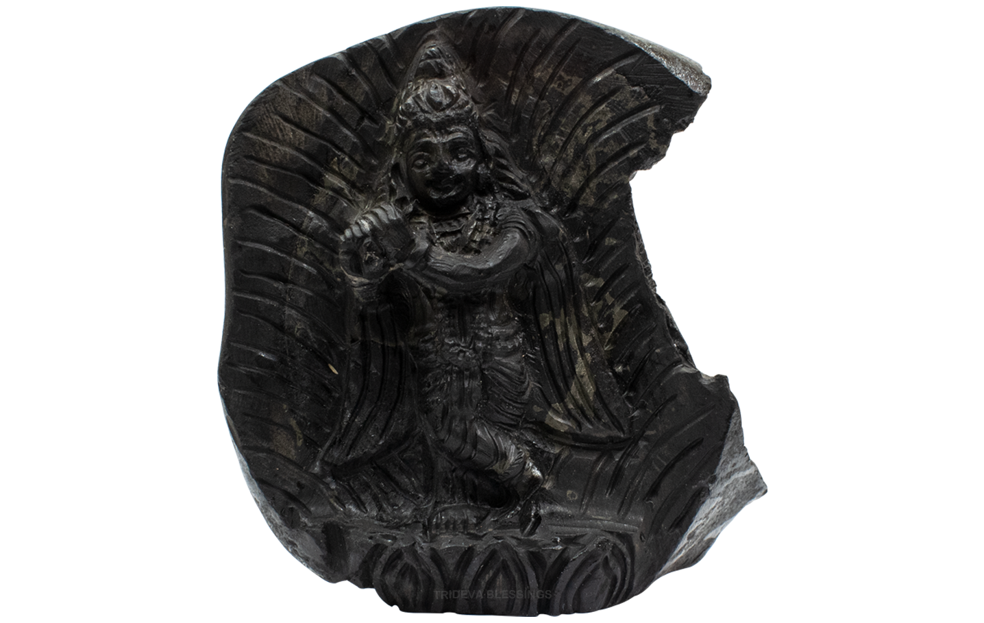 Trideva Blessings Lord Krishna Idol - Carved on Golden Sudarshan Shaligram - II