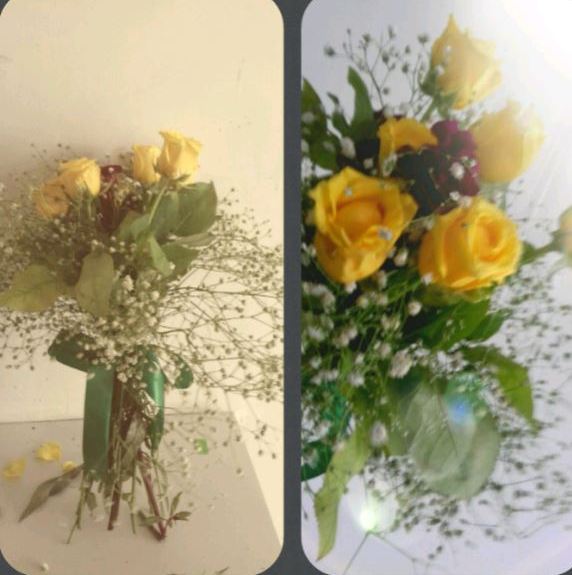Sun-kissed Yellow Roses