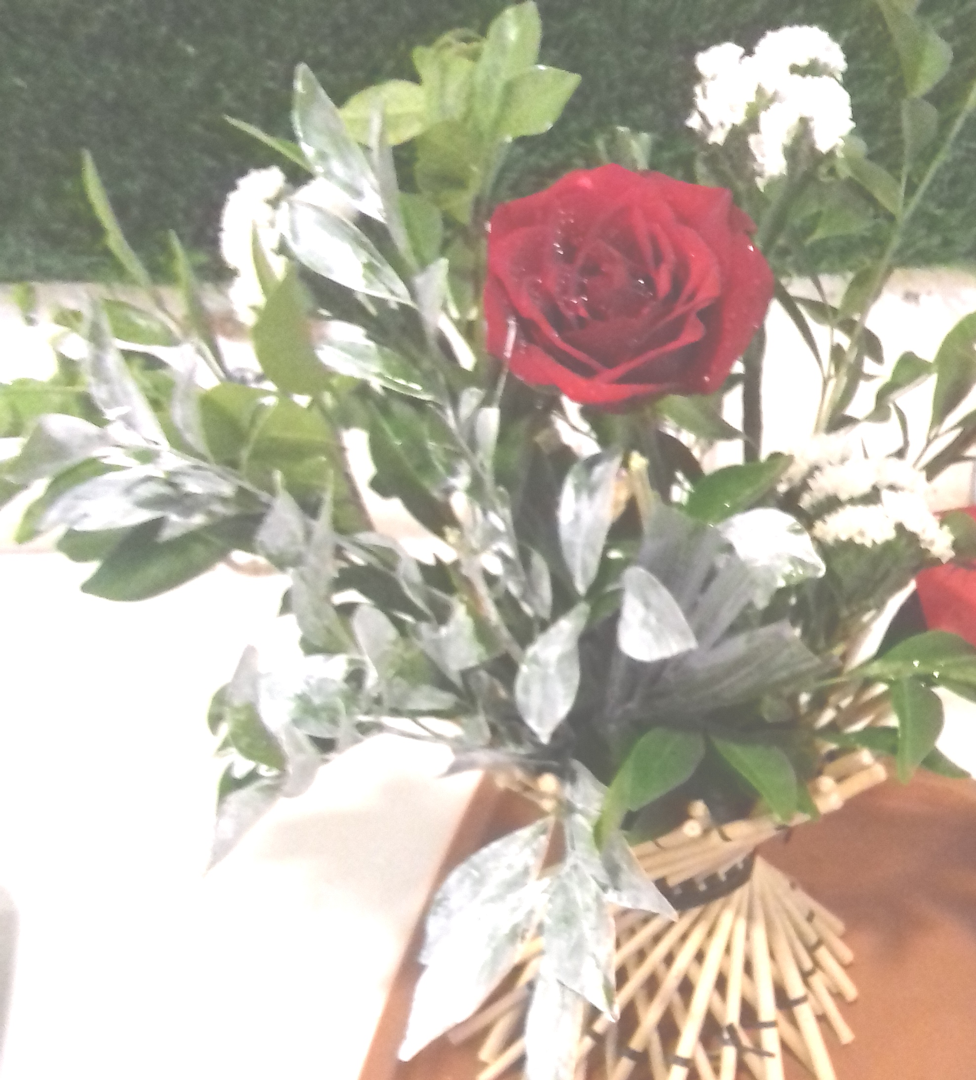 Rose with coloured leaves and seasonal fillers