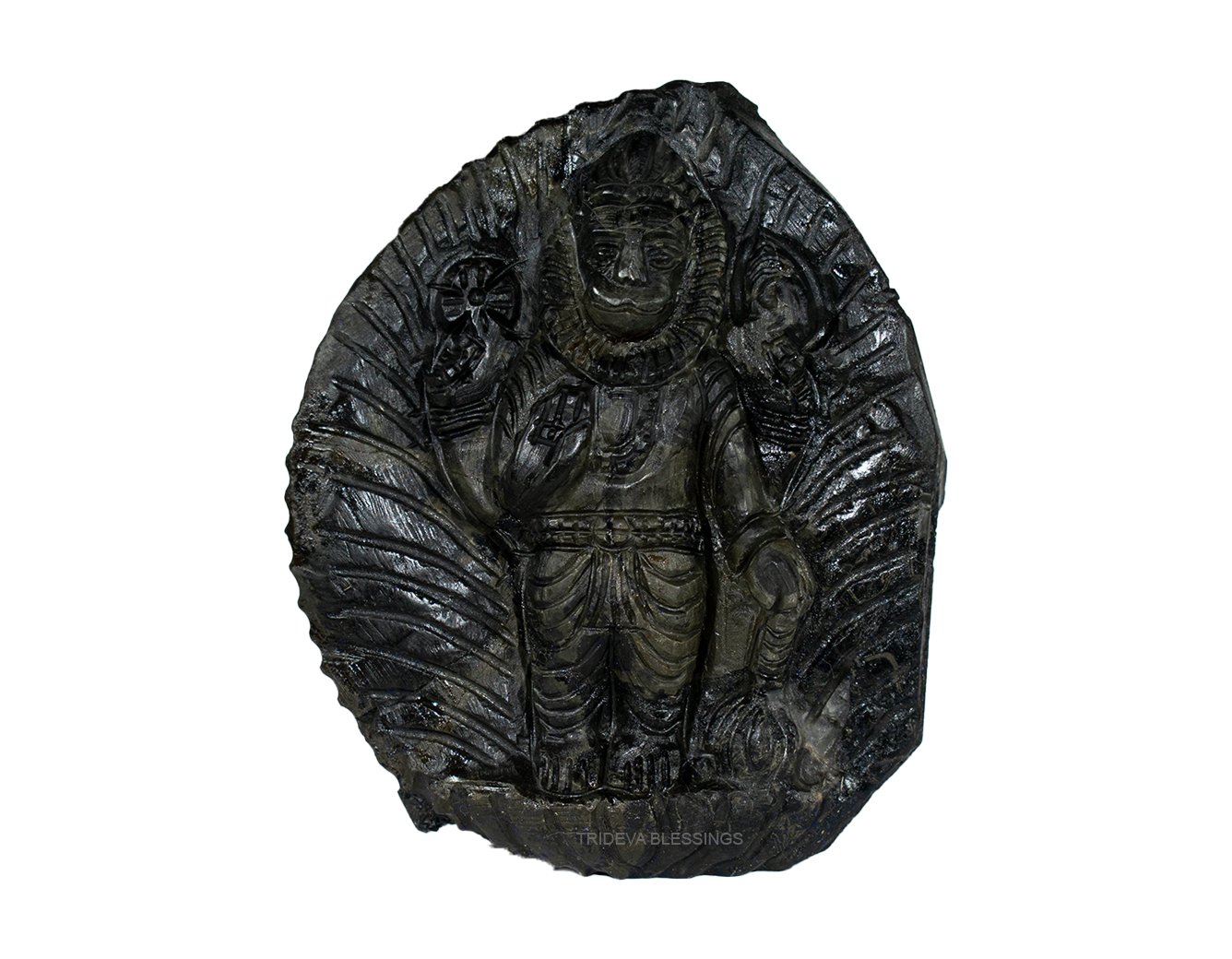Trideva Blessings Sacred Narsimha Shaligram Idol - II - Carved on Sudarshan Shaligram
