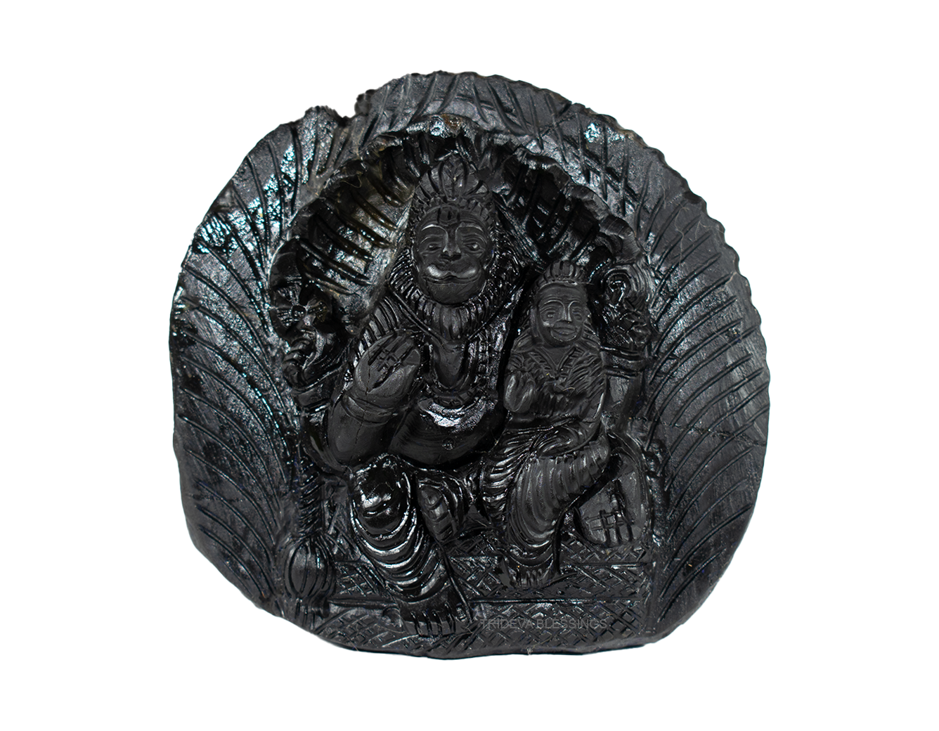 Trideva Blessings Auspicious Narsimha Shaligram Idol - III - Carved on Sudarshan Shaligram