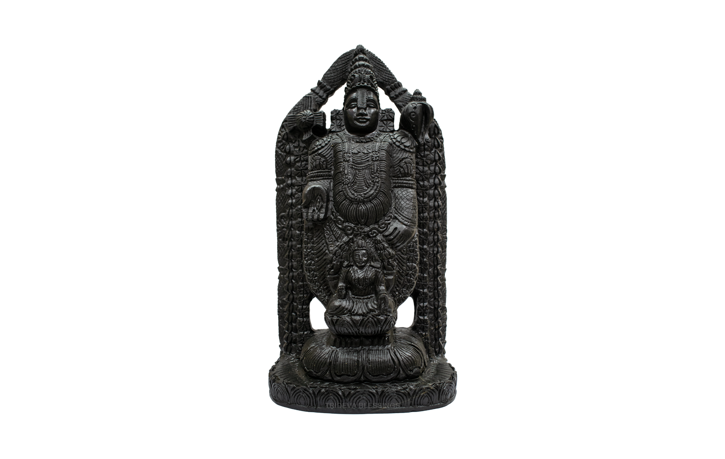 Trideva Blessings Rare Tirupati Balaji / Venkateshwara - V - Carved on Shaligram