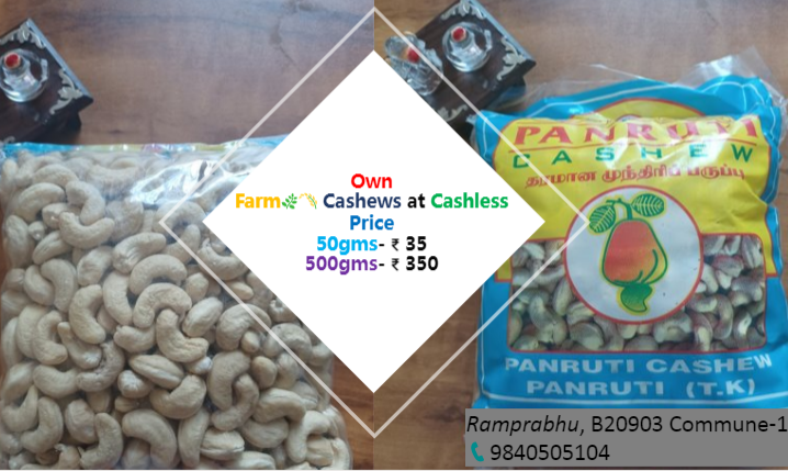 Cashew  Nuts