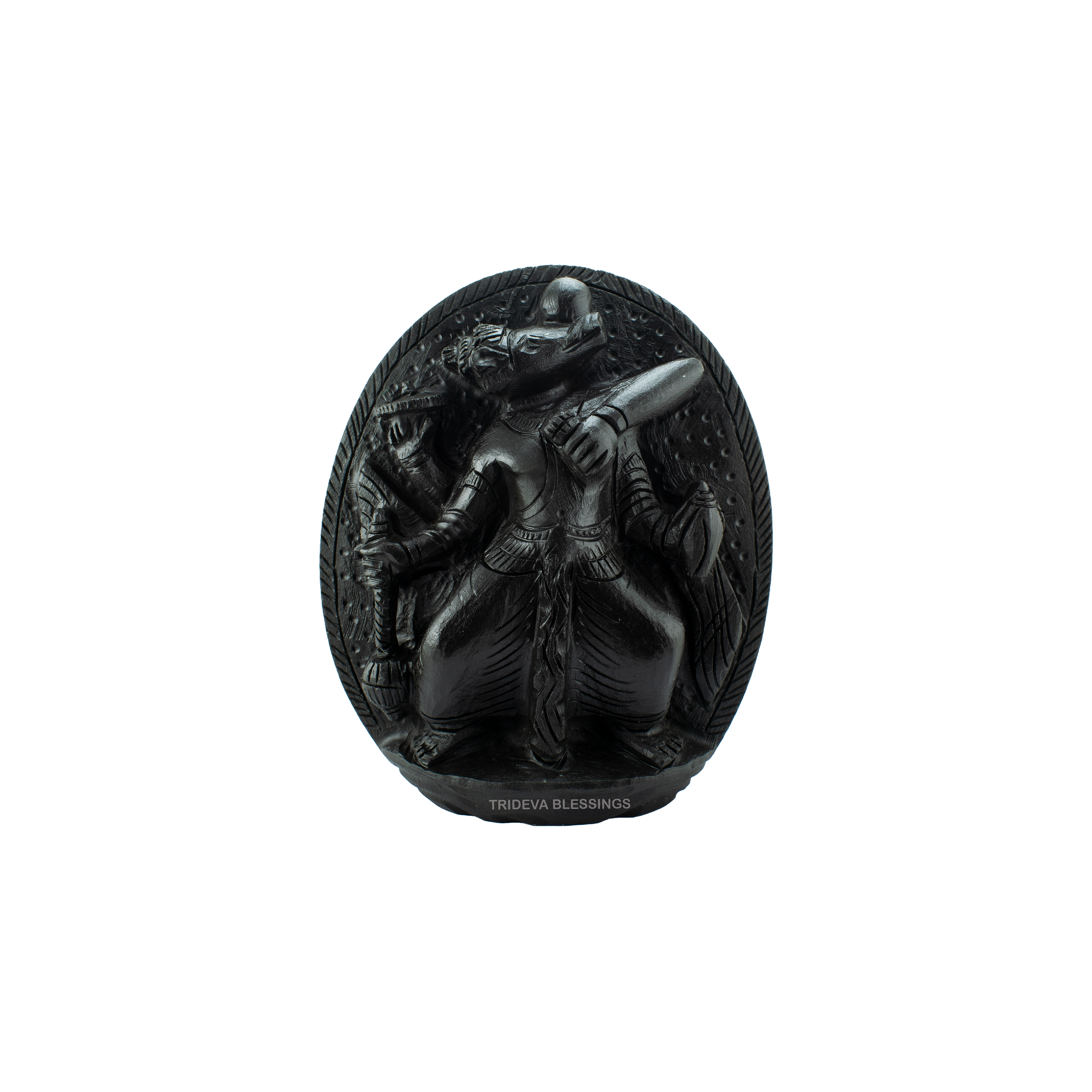 Trideva Blessings Varaha (Third Incarnation of Lord Vishnu) - I - Carved on Shaligram