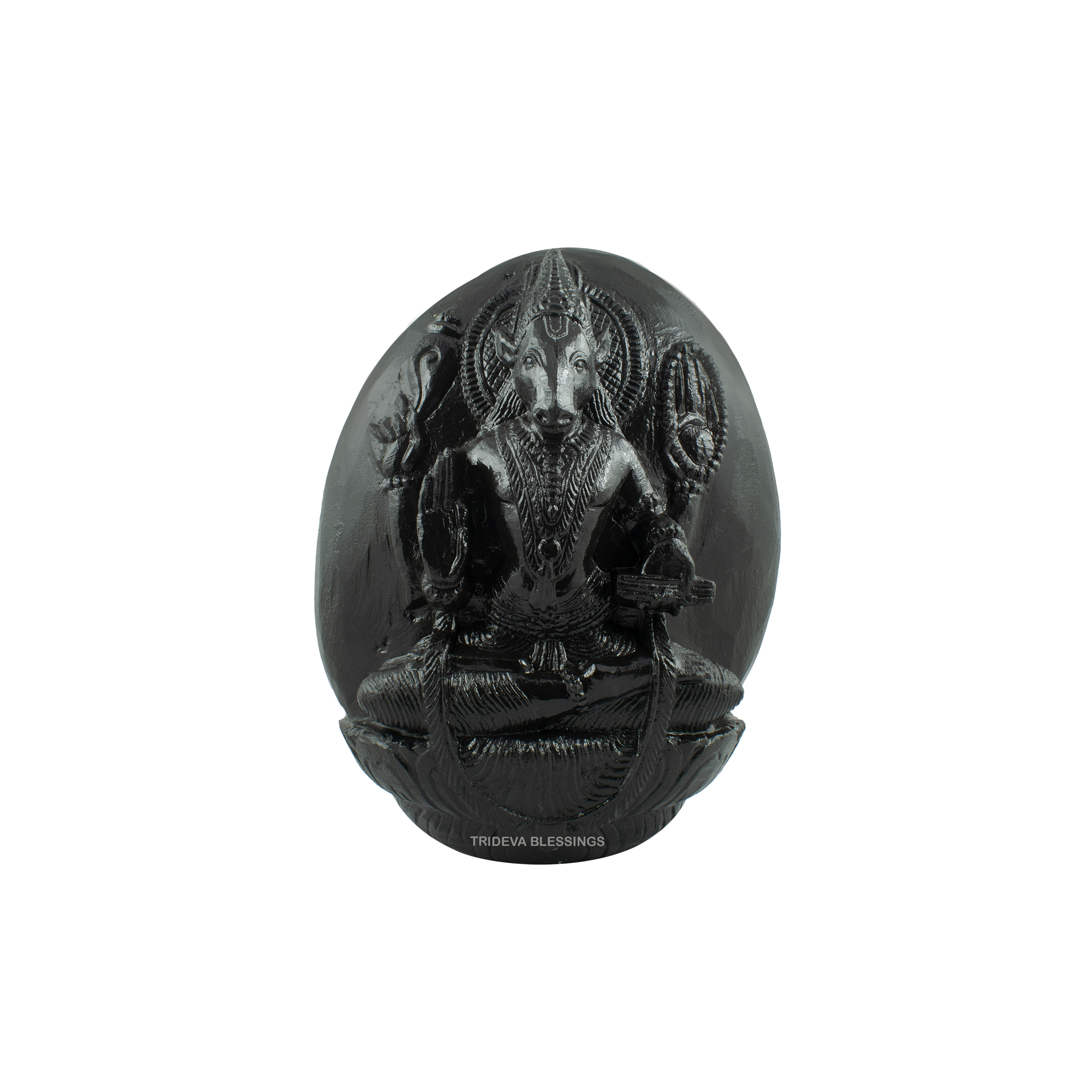 Trideva Blessings Varaha (Third Incarnation of Lord Vishnu) - II - Carved on Shaligram
