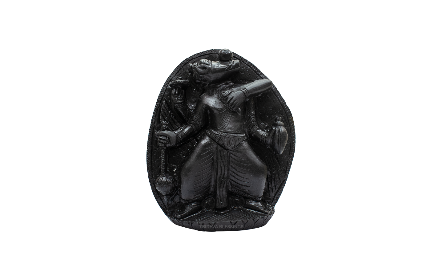 Trideva Blessings Varaha (Third Incarnation of Lord Vishnu) - III - Carved on Shaligram