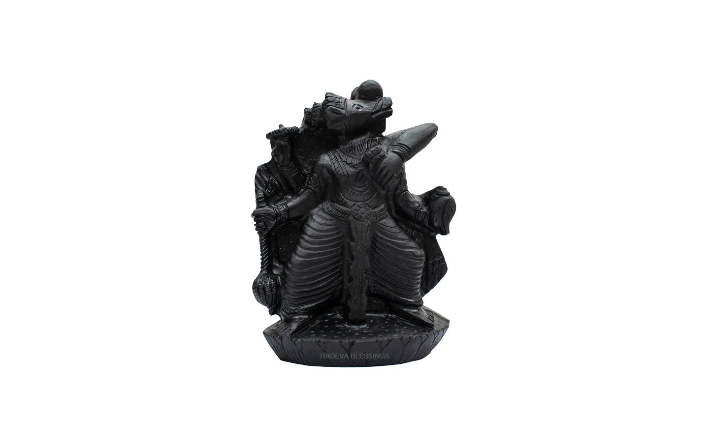 Trideva Blessings Varaha (Third Incarnation of Lord Vishnu) - IV - Carved on Shaligram