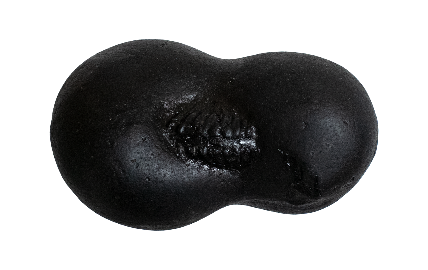 Trideva Blessings Sacred Dhanushdhari Ram Sita Shaligram - Gandaki River, Nepal - I