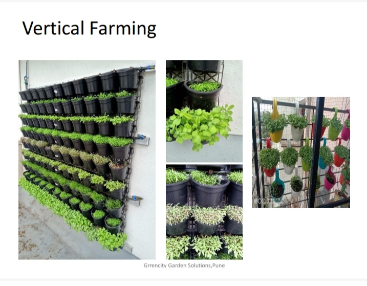 Organic Soilless Vertical Farm