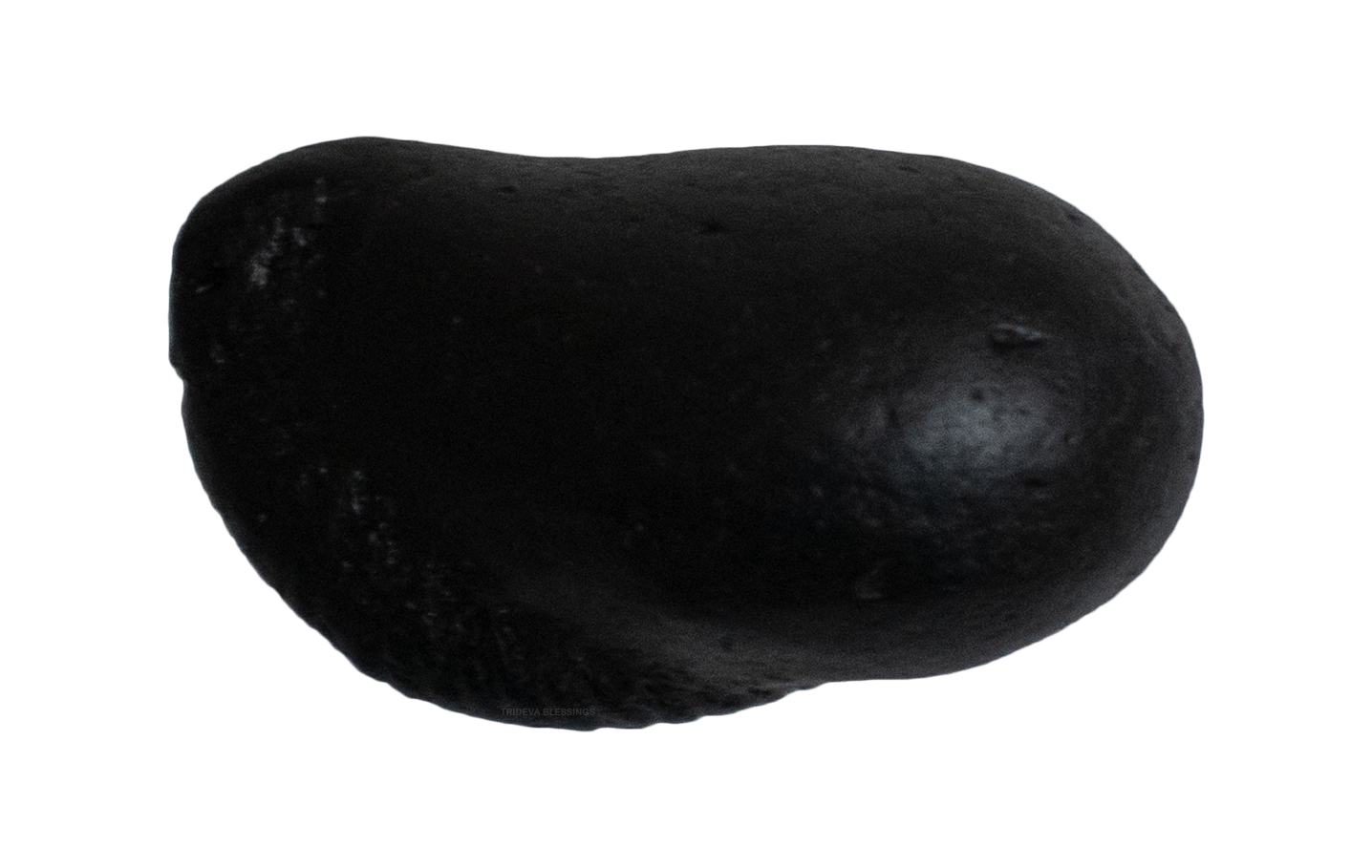 Trideva Blessings Auspicious Matsya Shaligram - Gandaki River, Nepal - III