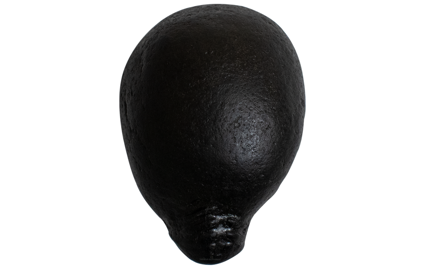 Trideva Blessings Sacred Kurma Shaligram - Gandaki River, Nepal - IV