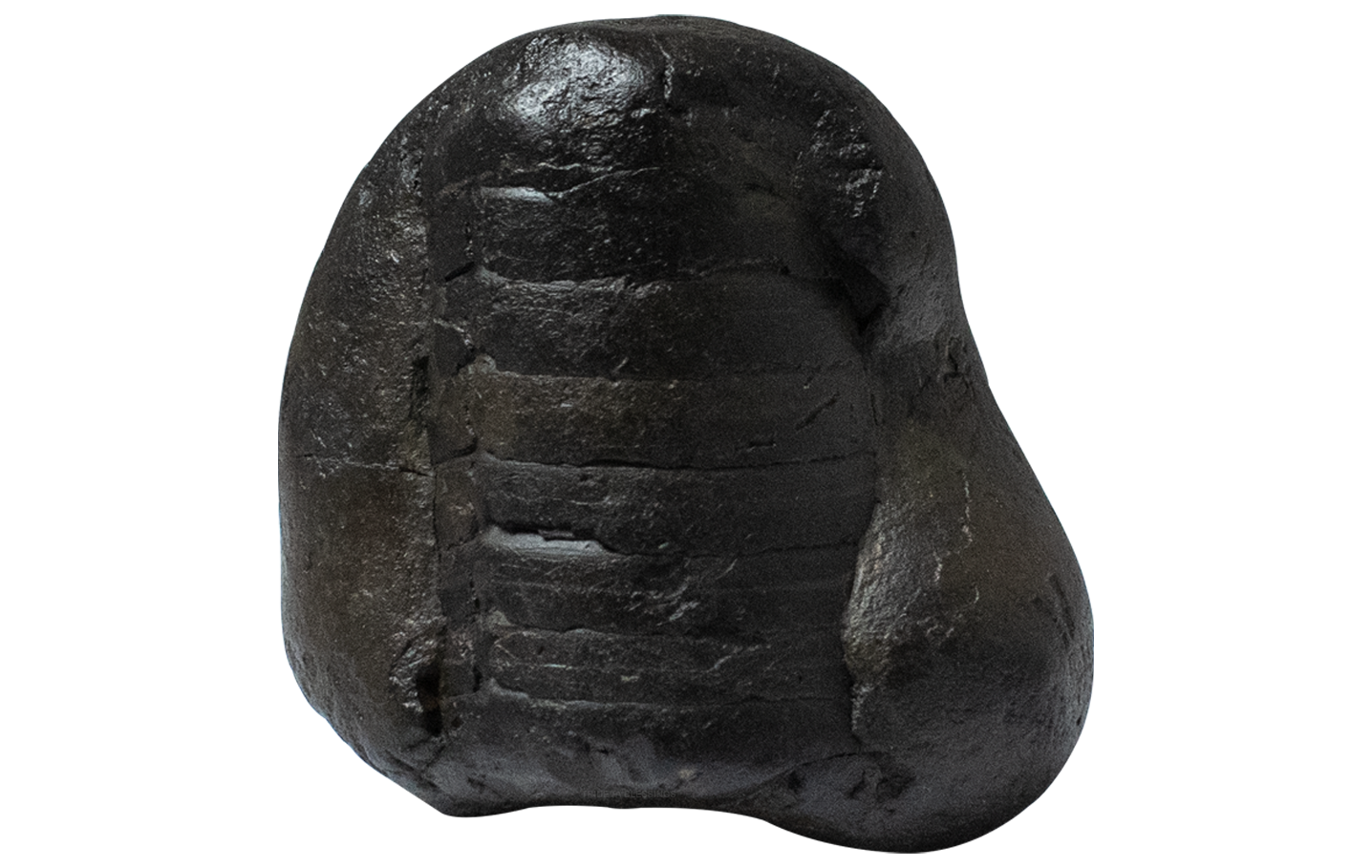 Trideva Blessings Auspicious Tripund Maha Shivlinga Shaligram - Gandaki River, Nepal - I