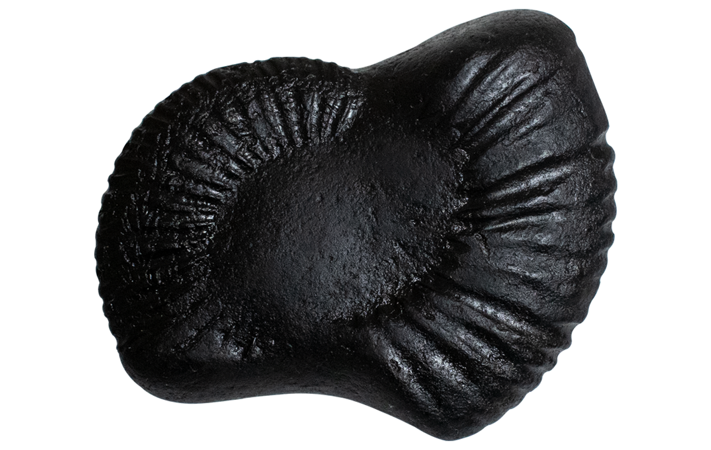 Trideva Blessings Sacred Laxmi Kuber Shaligram - Gandaki River, Nepal - I