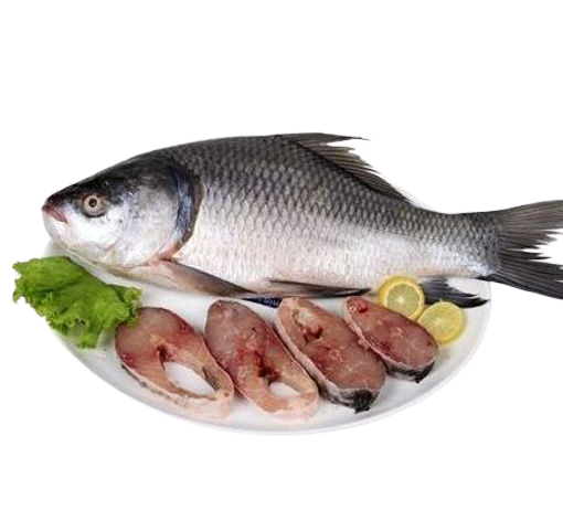 Ro Fish