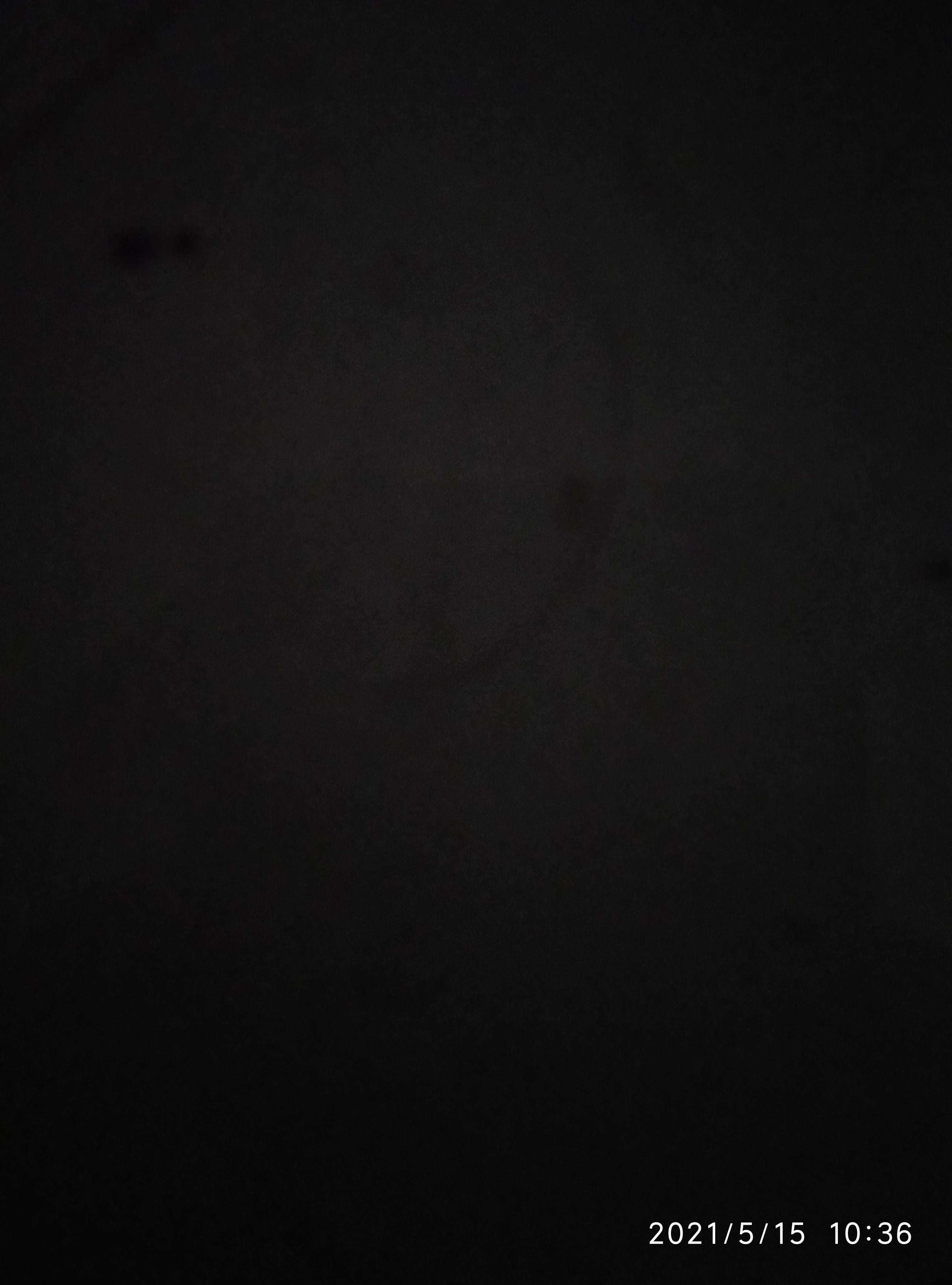 Potato