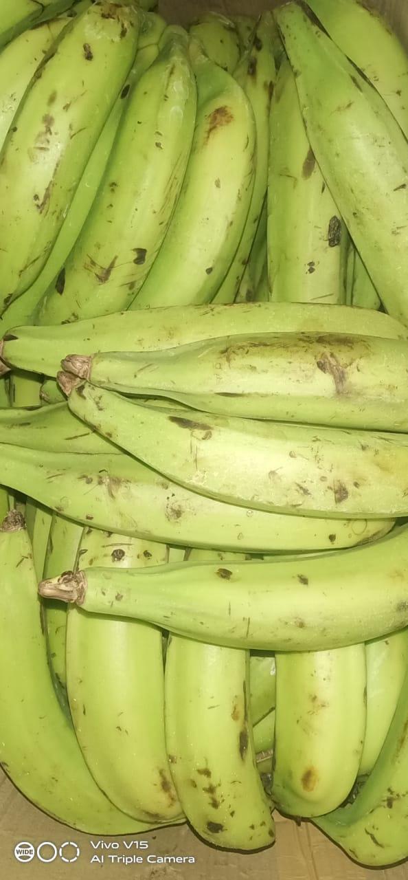 Nentra Raw Banana 1 Kg ( പച്ച നേന്ത്ര കായ)
