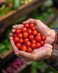 Cherry Tomato