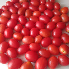 Red Candy Tomato
