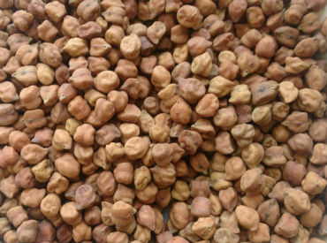 चना - Chana