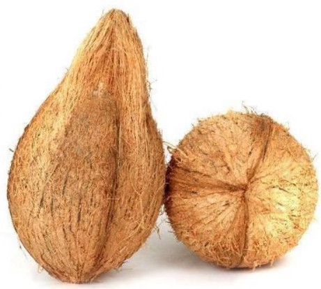 Coconut Pack 2No's