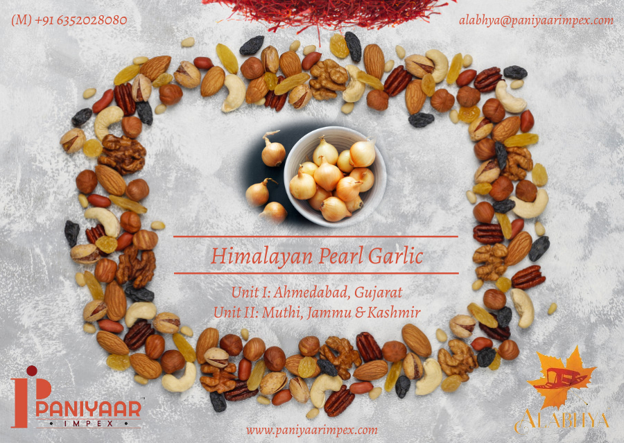 Himalayan Pearl Garlic