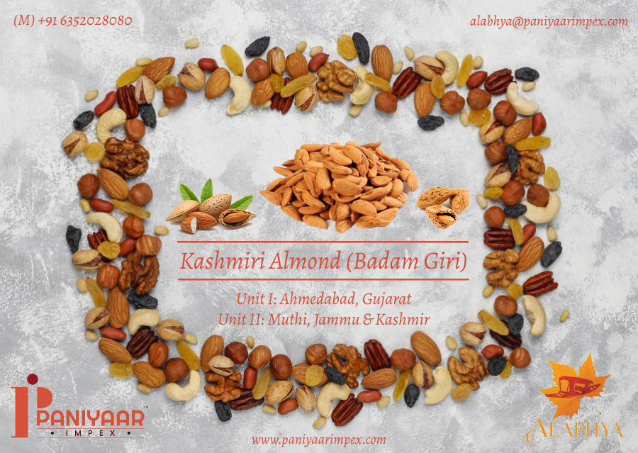 Alabhya Kashmiri Almond