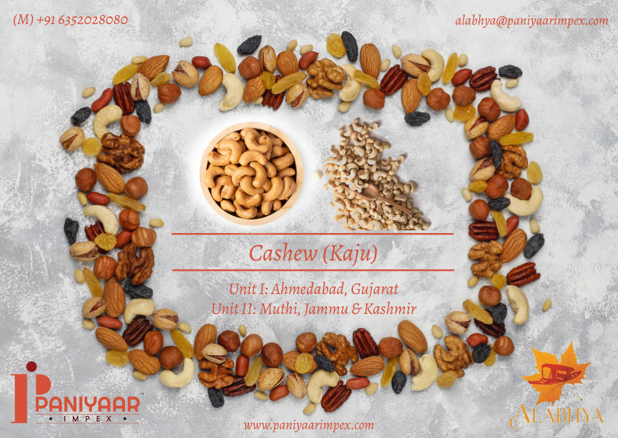 Alabhya Cashew