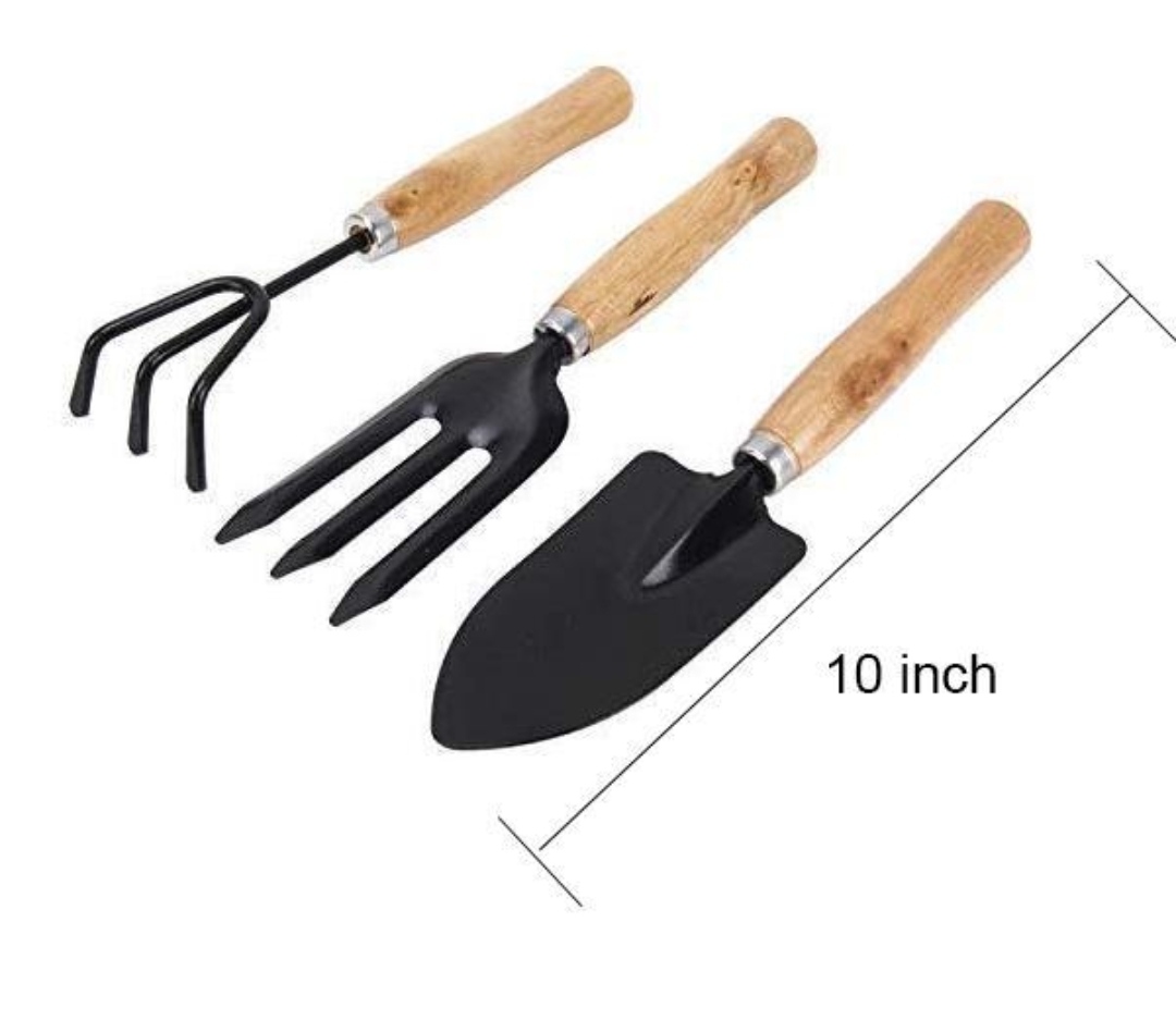 Garden Fork