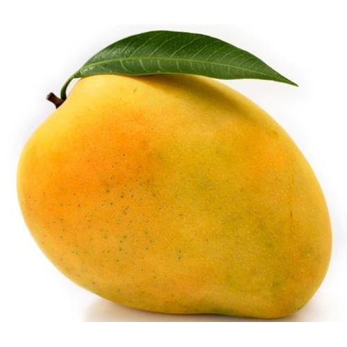 AAM KA RAJA