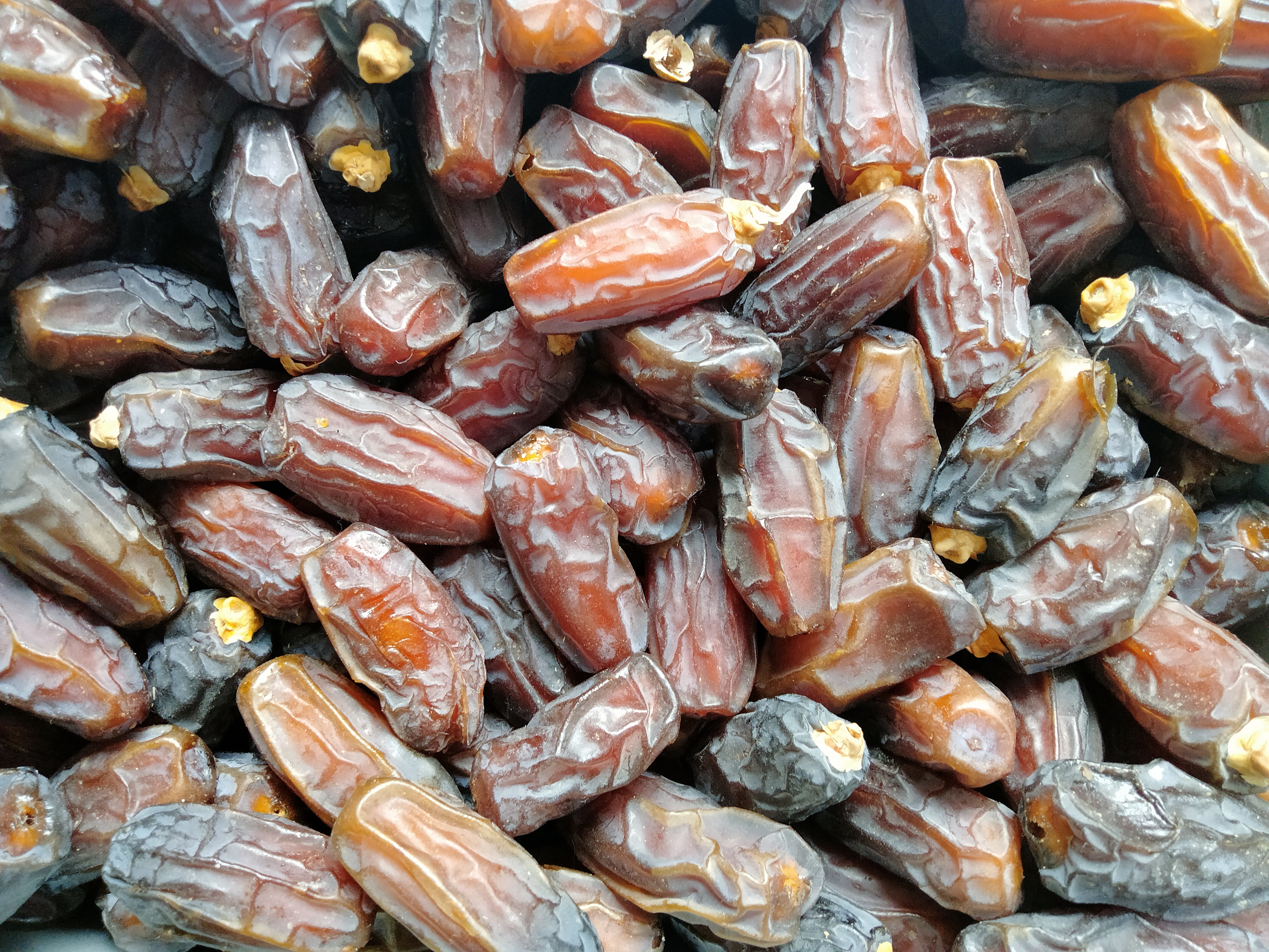 Brown Mabroom