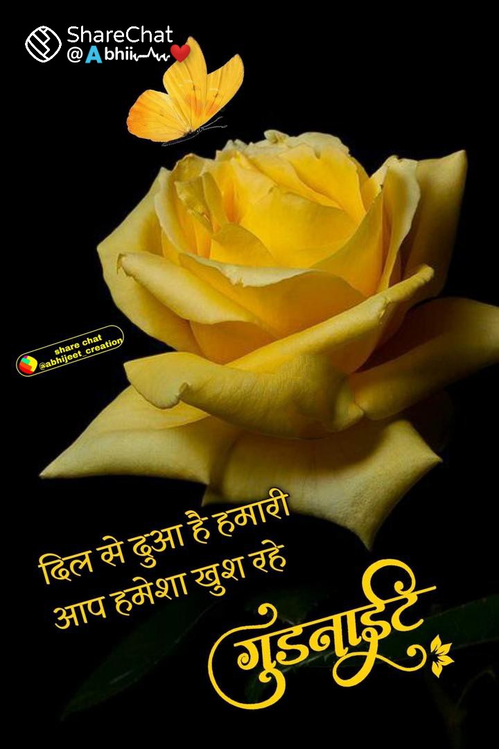 Sarees 1