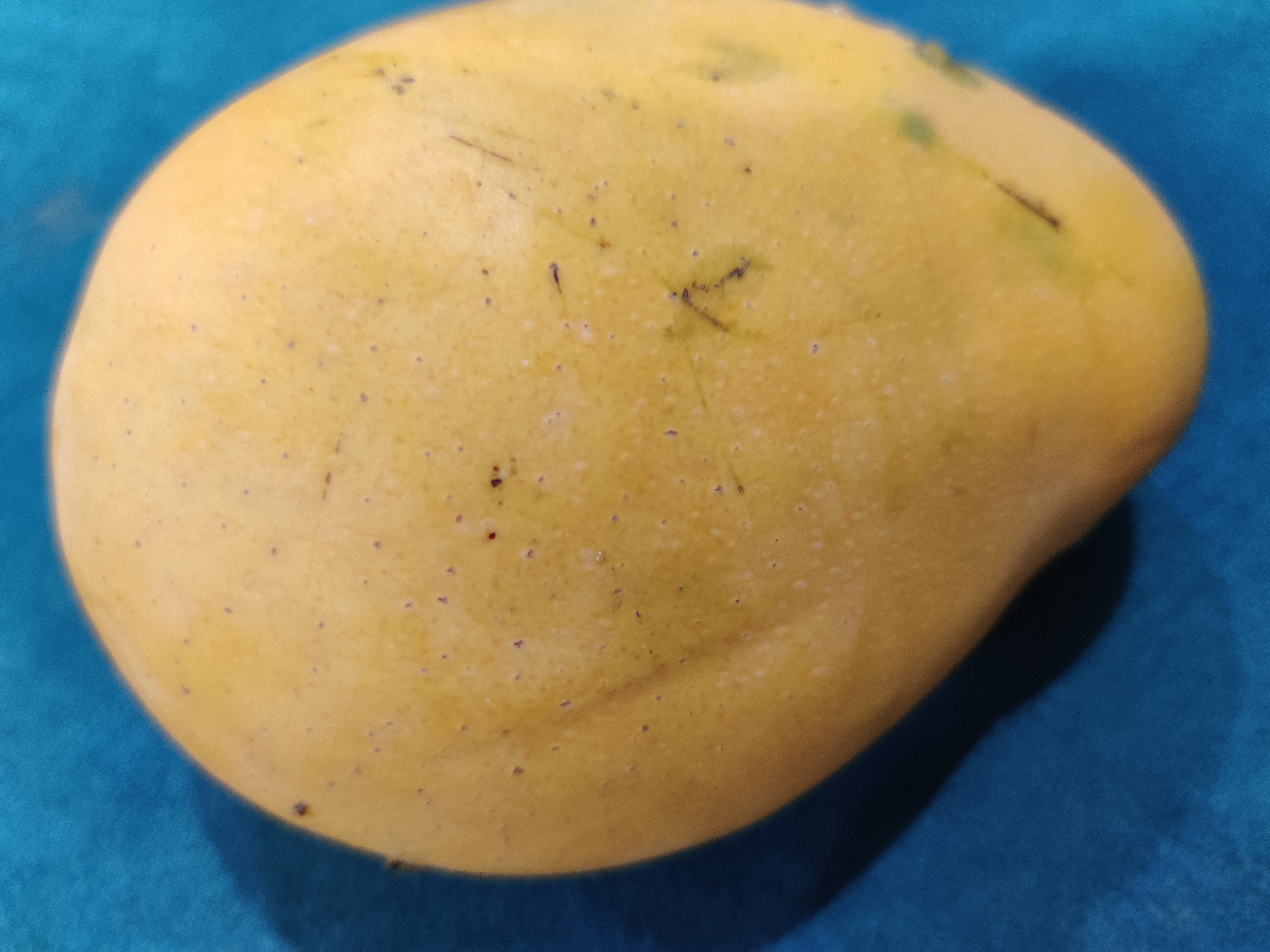 Fresh mangoes 