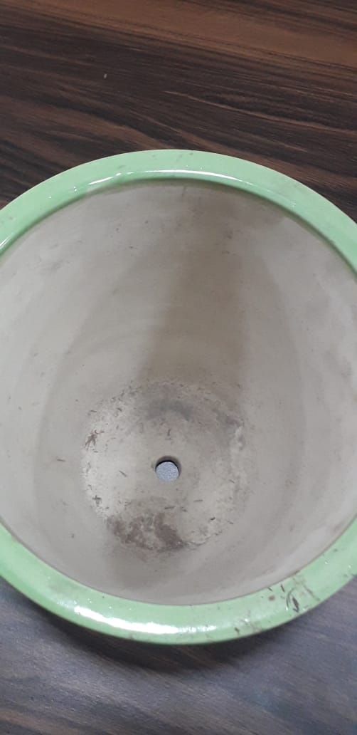 Ceramic pot (green)